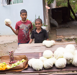 Two local boy's produce stand, Jesse's Taste of Trinidad Tour, Trinidad